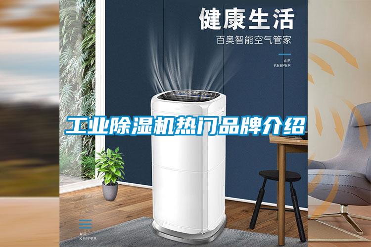 工业91抖音免费看片热门品牌介绍