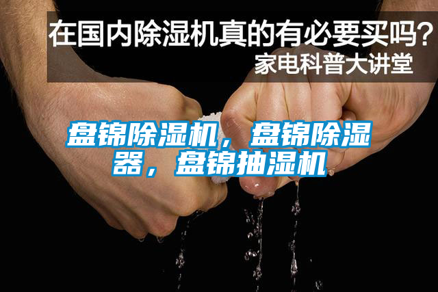盘锦91抖音免费看片，盘锦除湿器，盘锦抽湿机