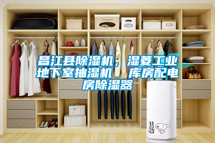 昌江县91抖音免费看片，湿菱工业地下室抽湿机  库房配电房除湿器