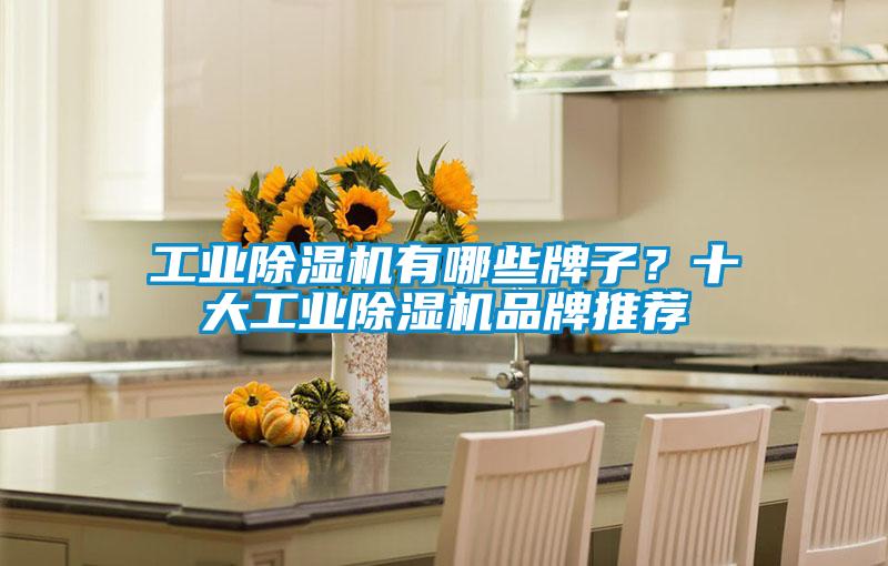 工业91抖音免费看片有哪些牌子？十大工业91抖音免费看片品牌推荐