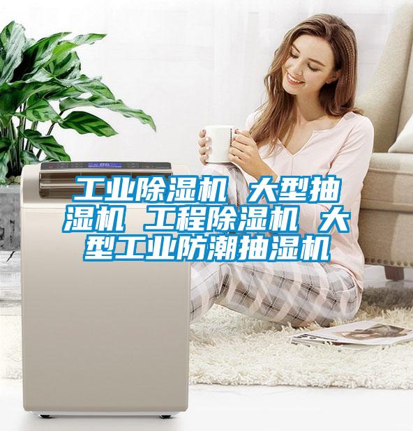 工业91抖音免费看片 大型抽湿机 工程91抖音免费看片 大型工业防潮抽湿机