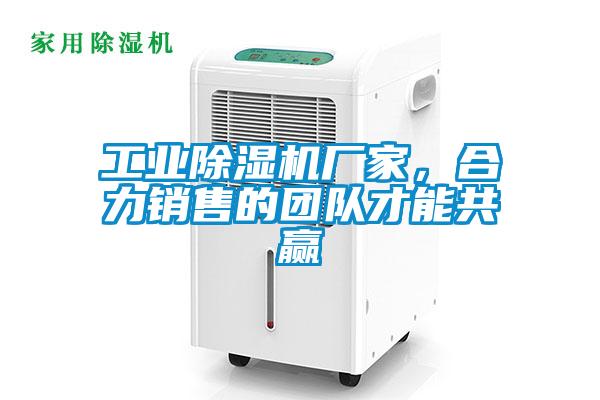 工业91抖音免费看片厂家，合力销售的团队才能共赢