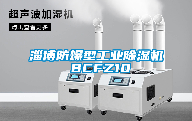 淄博防爆型工业91抖音免费看片 BCFZ10