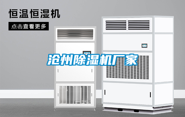 沧州91抖音免费看片厂家