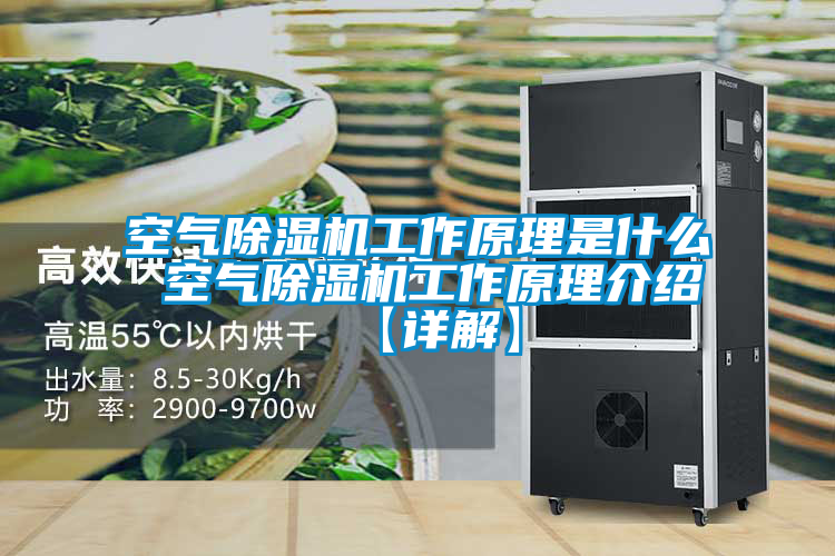 空气91抖音免费看片工作原理是什么 空气91抖音免费看片工作原理介绍【详解】