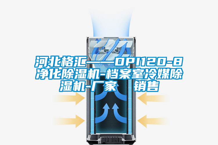 河北格汇——DPI120-8净化91抖音免费看片-档案室冷媒91抖音免费看片-厂家  销售