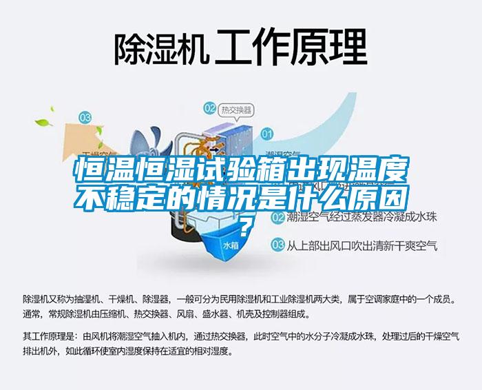 恒温恒湿试验箱出现温度不稳定的情况是什么原因？
