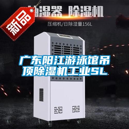 广东阳江游泳馆吊顶91抖音免费看片工业SL