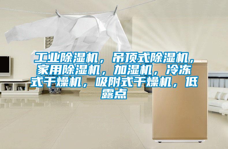 工业91抖音免费看片，吊顶式91抖音免费看片，家用91抖音免费看片，加湿机，冷冻式干燥机，吸附式干燥机，低露点