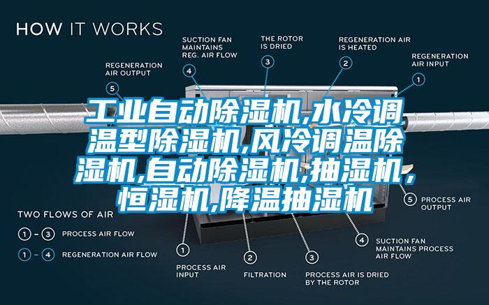 工业自动91抖音免费看片,水冷调温型91抖音免费看片,风冷调温91抖音免费看片,自动91抖音免费看片,抽湿机，恒湿机,降温抽湿机
