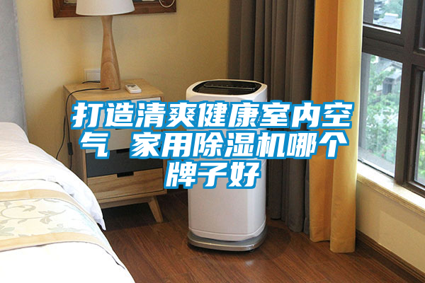 打造清爽健康室内空气 家用91抖音免费看片哪个牌子好