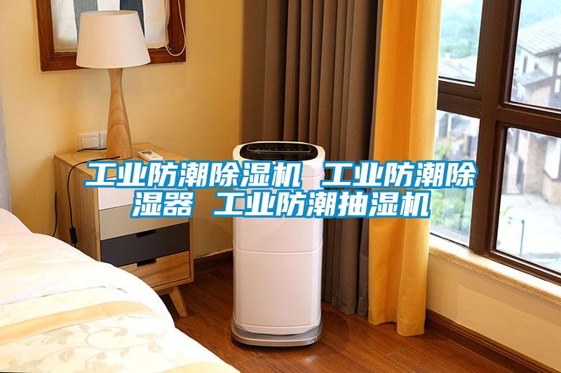 工业防潮91抖音免费看片 工业防潮除湿器 工业防潮抽湿机