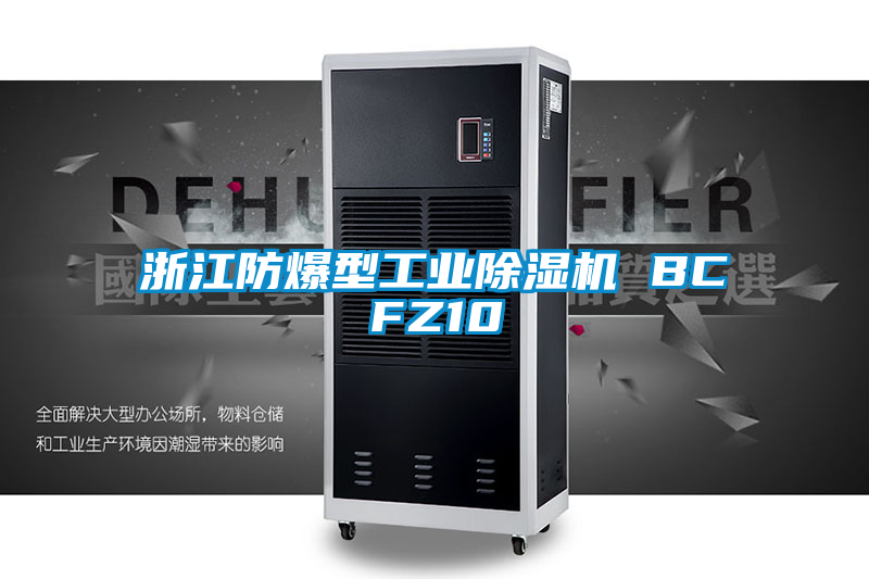 浙江防爆型工业91抖音免费看片 BCFZ10