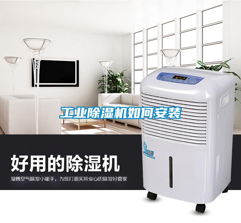 工业91抖音免费看片如何安装