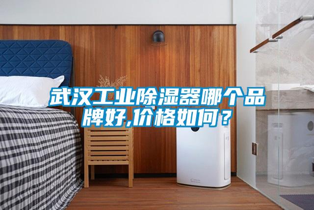 武汉工业除湿器哪个品牌好,价格如何？