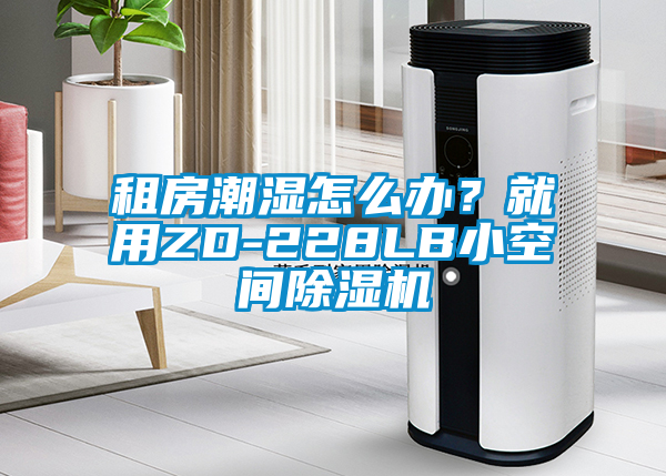 租房潮湿怎么办？就用ZD-228LB小空间91抖音免费看片