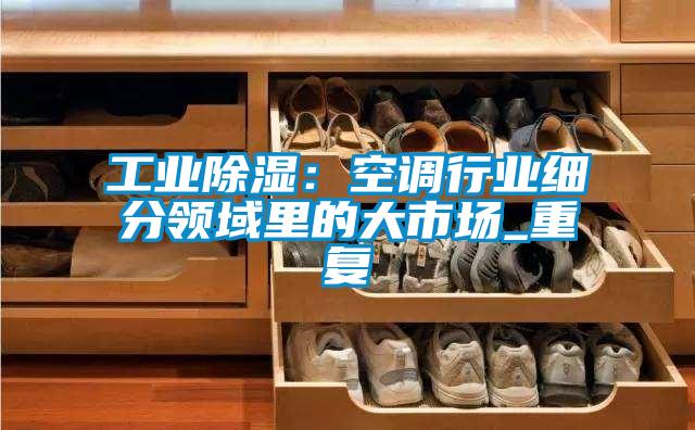 工业除湿：空调行业细分领域里的大市场_重复