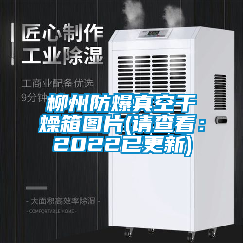 柳州防爆真空干燥箱图片(请查看：2022已更新)