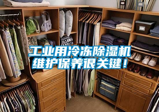 工业用冷冻91抖音免费看片维护保养很关键！