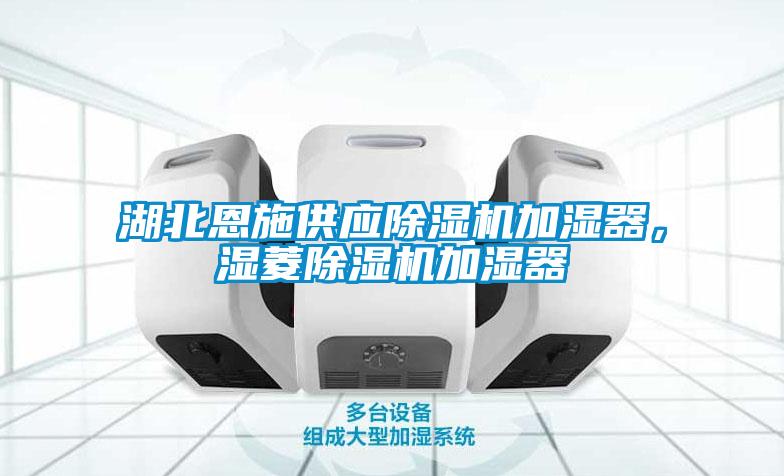 湖北恩施供应91抖音免费看片加湿器，湿菱91抖音免费看片加湿器