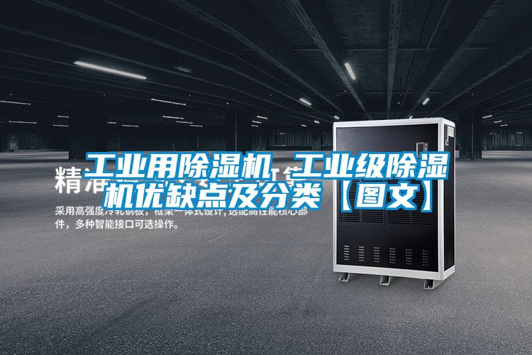 工业用91抖音免费看片 工业级91抖音免费看片优缺点及分类【图文】