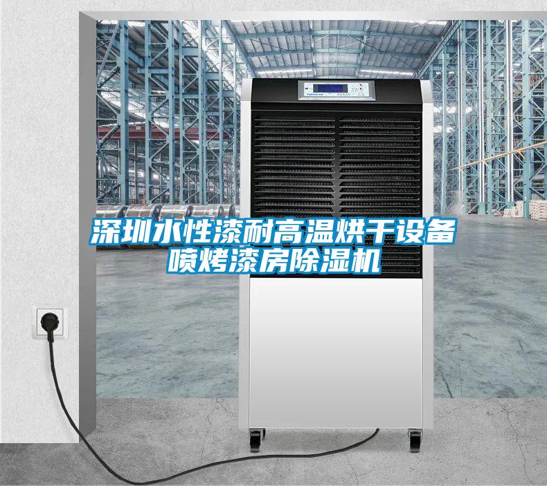 深圳水性漆耐高温烘干设备喷烤漆房91抖音免费看片