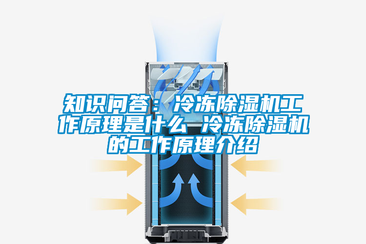 知识问答：冷冻91抖音免费看片工作原理是什么 冷冻91抖音免费看片的工作原理介绍