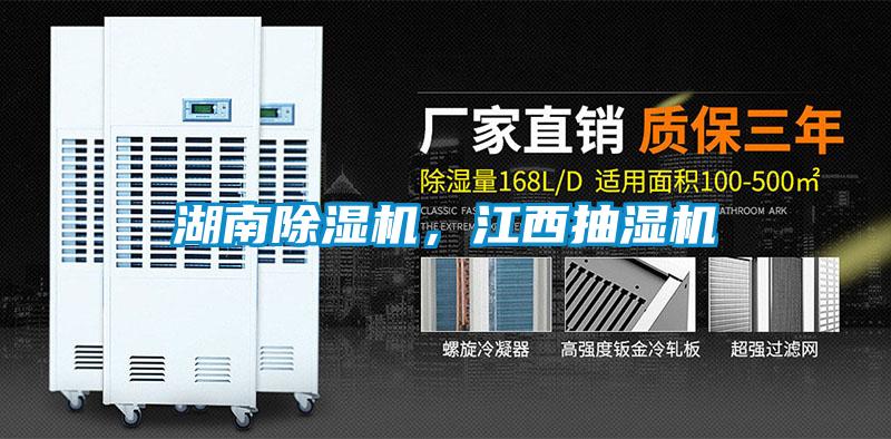 湖南91抖音免费看片，江西抽湿机