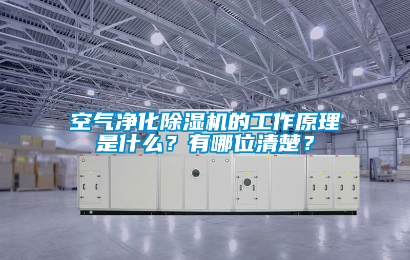 空气净化91抖音免费看片的工作原理是什么？有哪位清楚？