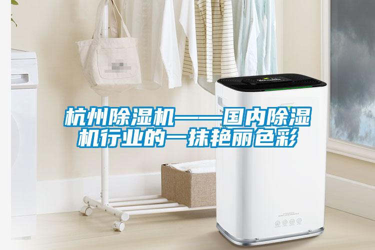 杭州91抖音免费看片——国内91抖音免费看片行业的一抹艳丽色彩