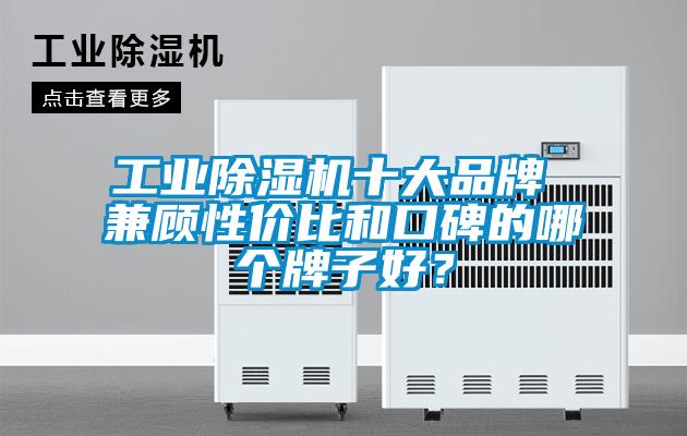 工业91抖音免费看片十大品牌 兼顾性价比和口碑的哪个牌子好？