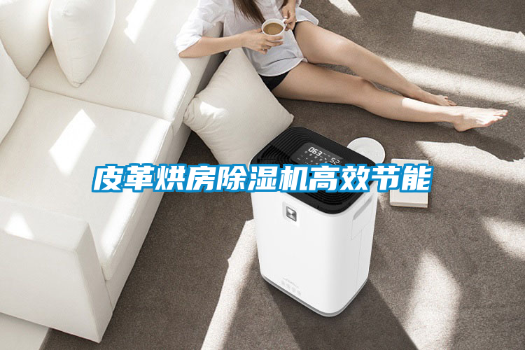 皮革烘房91抖音免费看片高效节能