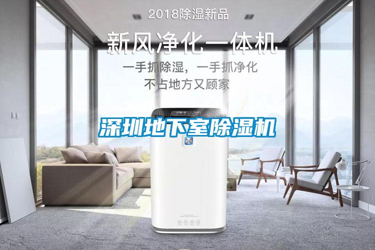 深圳地下室91抖音免费看片