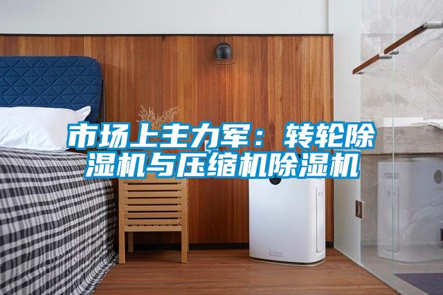 市场上主力军：转轮91抖音免费看片与压缩机91抖音免费看片