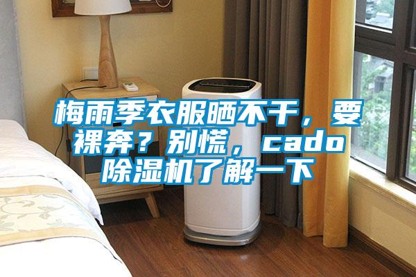 梅雨季衣服晒不干，要裸奔？别慌，cado91抖音免费看片了解一下