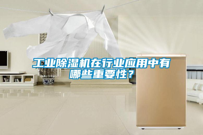 工业91抖音免费看片在行业应用中有哪些重要性？