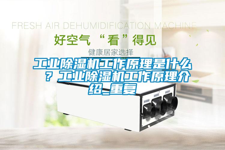 工业91抖音免费看片工作原理是什么 ？工业91抖音免费看片工作原理介绍_重复