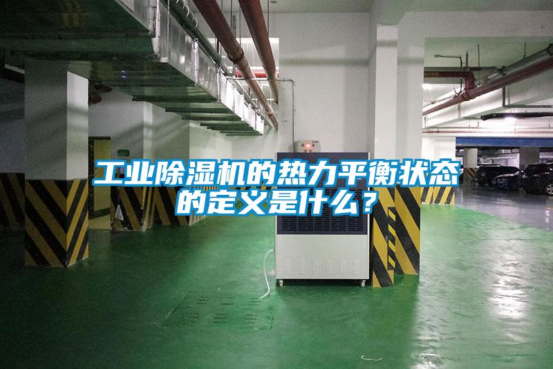 工业91抖音免费看片的热力平衡状态的定义是什么？