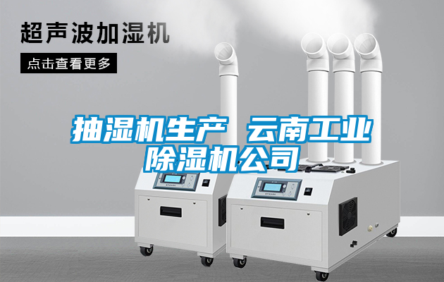 抽湿机生产 云南工业91抖音免费看片公司