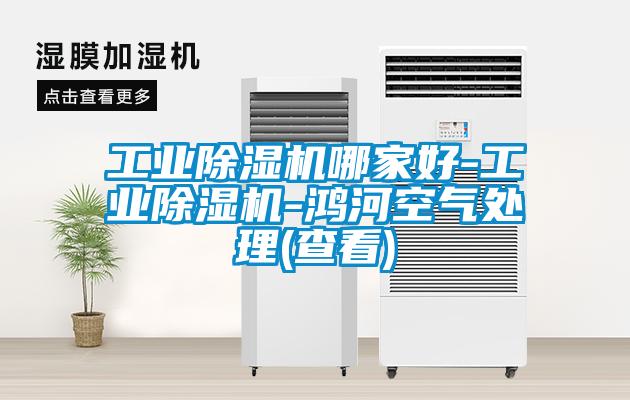 工业91抖音免费看片哪家好-工业91抖音免费看片-鸿河空气处理(查看)