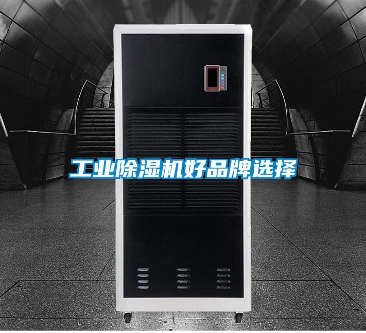 工业91抖音免费看片好品牌选择