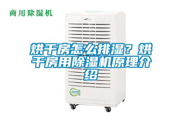 烘干房怎么排湿？烘干房用91抖音免费看片原理介绍