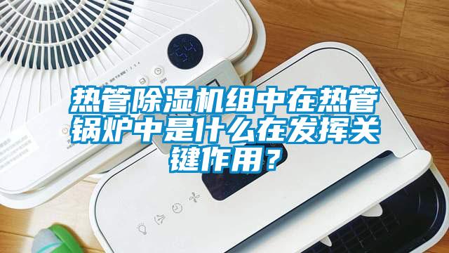 热管91抖音免费看片组中在热管锅炉中是什么在发挥关键作用？