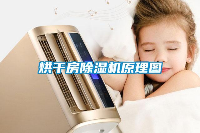 烘干房91抖音免费看片原理图
