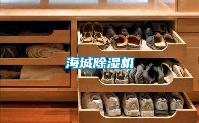 海城91抖音免费看片