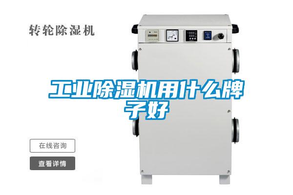 工业91抖音免费看片用什么牌子好