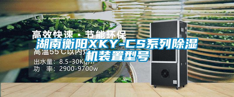 湖南衡阳XKY-CS系列91抖音免费看片装置型号