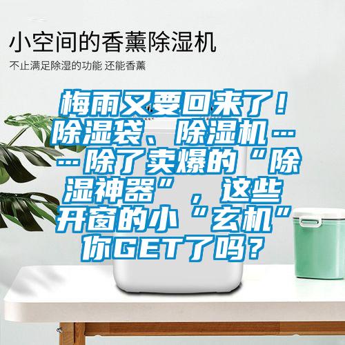 梅雨又要回来了！除湿袋、91抖音免费看片……除了卖爆的“除湿神器”，这些开窗的小“玄机”你GET了吗？
