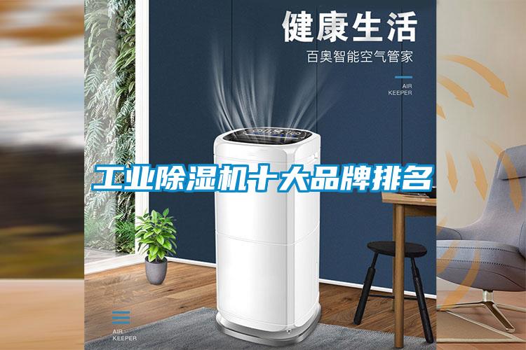 工业91抖音免费看片十大品牌排名