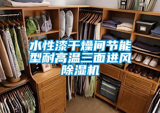 水性漆干燥间节能型耐高温三面进风91抖音免费看片